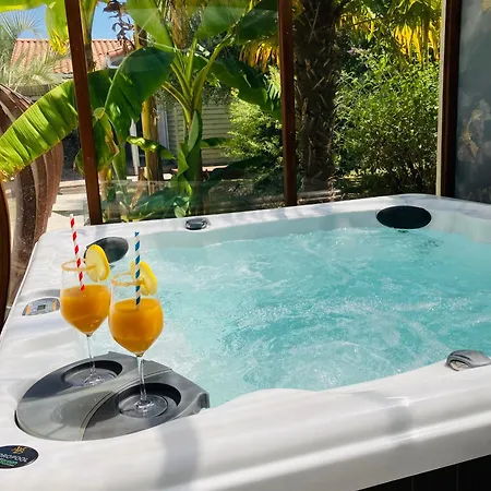 Un Petit Bout De Louisiane D'hotes Avec Piscine Et Petit Dejeuner Bed & Breakfast *