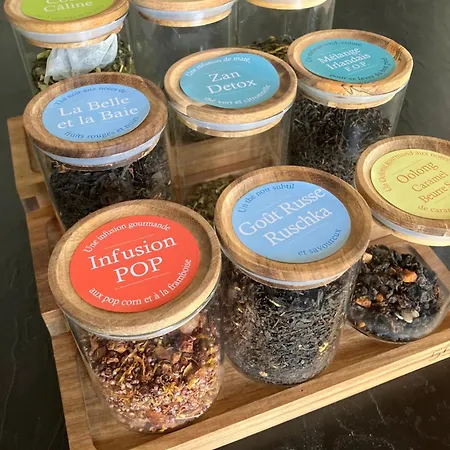 Un Petit Bout De Louisiane D'hotes Avec Piscine Et Petit Dejeuner 3* Chantonnay