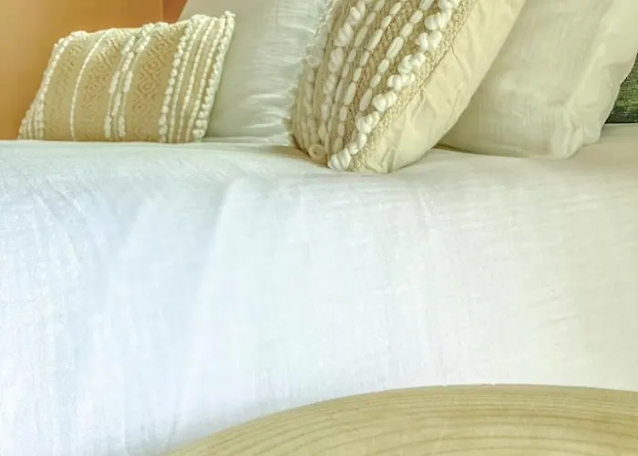 Un Petit Bout De Louisiane D'hotes Avec Piscine Et Petit Dejeuner